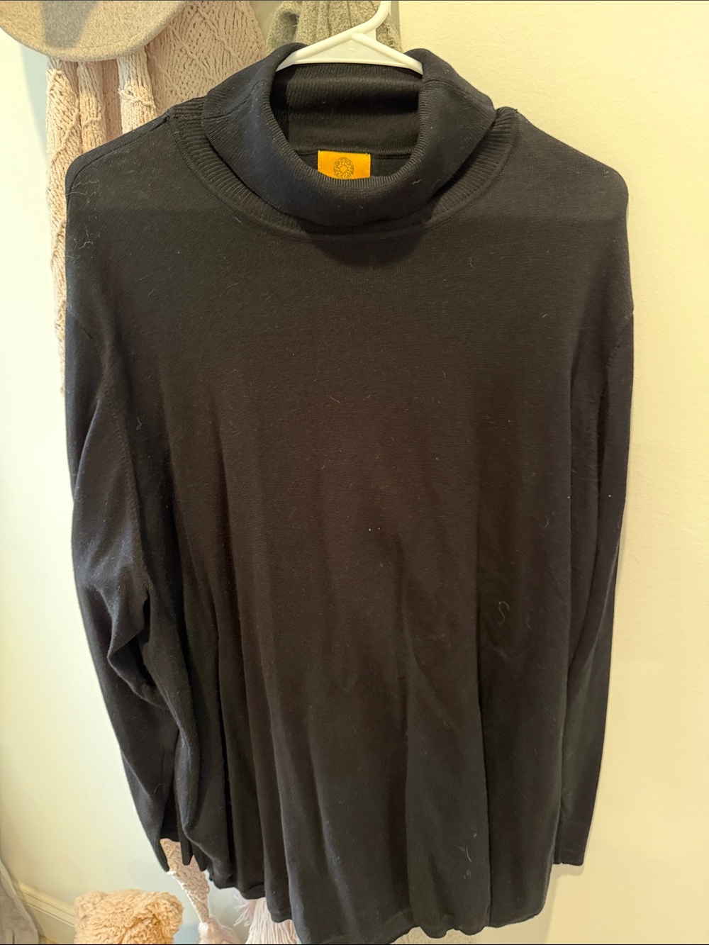 Black Women’s Turtleneck Long-Sleeve Shirt